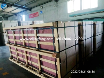 Shuttering plastic sheet